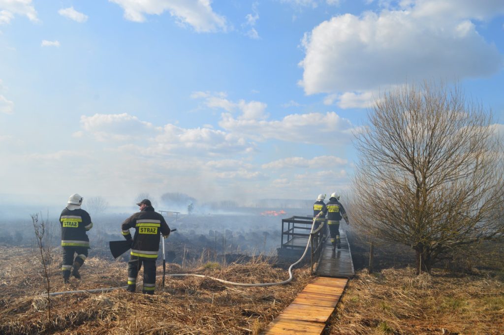 Pożar w Biebrzańskim Parku Narodowym